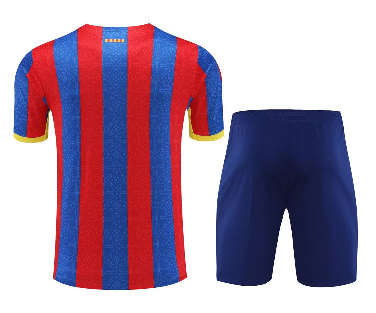 TRAINING FC BARCELONE 2023-2024