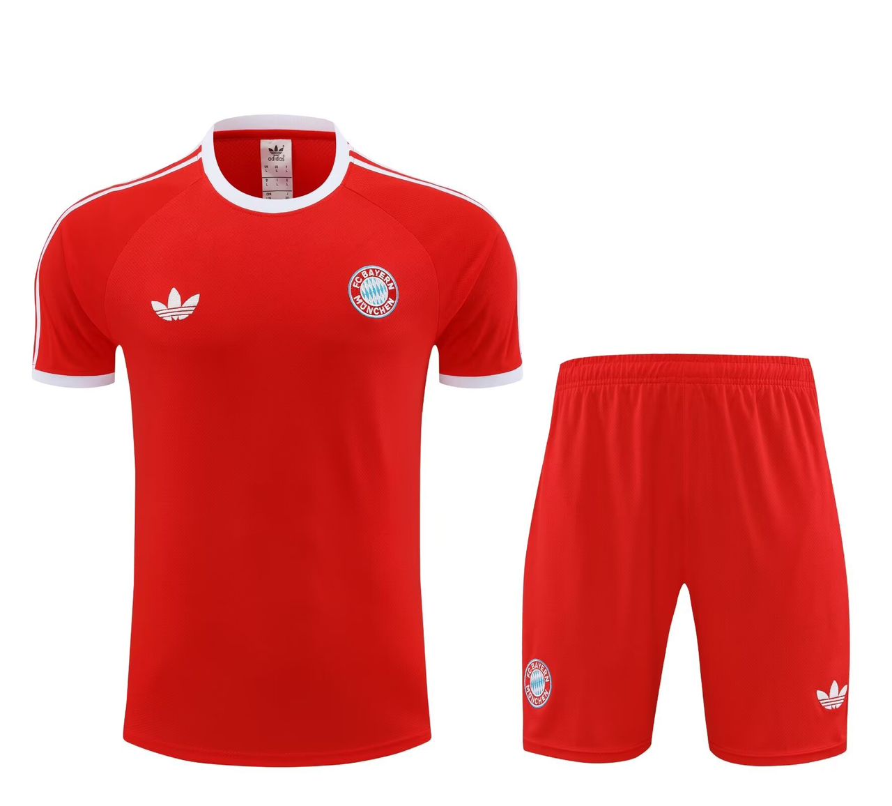 TRAINING FC BAYERN 2023-2024